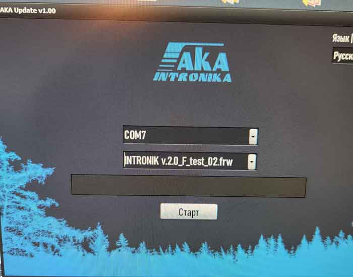 Файл прошивки выбран